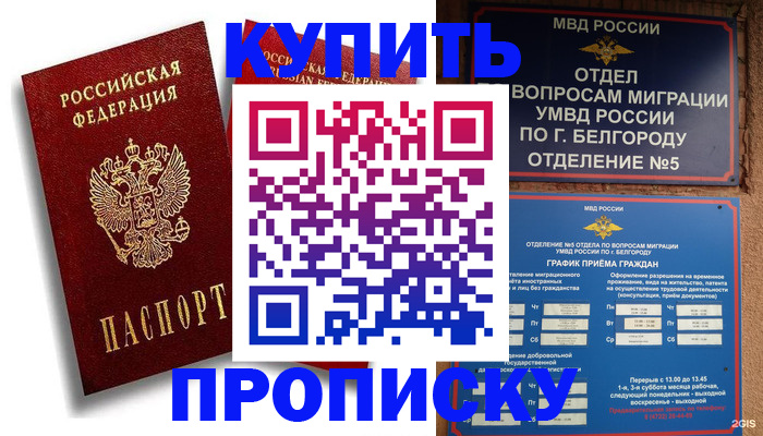 прописка иностранных граждан в Фрязино